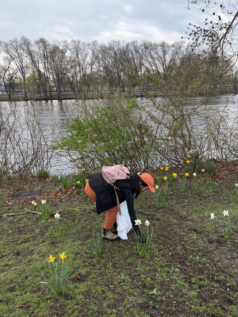 Charles River Earth Day Cleanup (Boston)